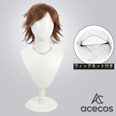 画像1: 鉄拳8　風　風間飛鳥　コスプレウィッグ　鬘　かつら (1)