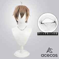 画像1: 桃源暗鬼　風　皇后崎迅　コスプレウィッグ　鬘　かつら (1)