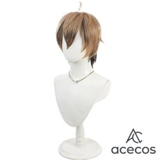 画像4: 桃源暗鬼　風　皇后崎迅　コスプレウィッグ　鬘　かつら (4)