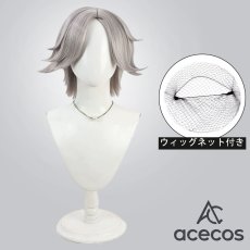 画像1: HUNDRED LINE -最終防衛学園-（ハンドレッドライン）　風　蒼月衛人　コスプレウィッグ　鬘　かつら (1)
