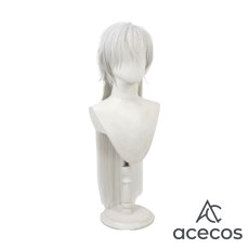 画像4: 鳴潮(Wuthering Waves)　風　哥舒臨　コスプレウィッグ　鬘　かつら (4)
