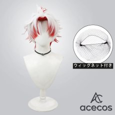 画像1: 鳴潮(Wuthering Waves)　風　スカー　コスプレウィッグ　鬘　かつら (1)