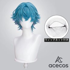 画像1: 鳴潮(Wuthering Waves)　風　ブラント　コスプレウィッグ　鬘　かつら (1)