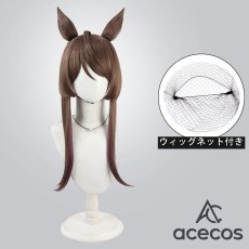画像1: ウマ娘プリティーダービー　風　ロイスアンドロイス　コスプレウィッグ　鬘　かつら (1)