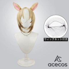 画像1: ウマ娘プリティーダービー　風　デュランダル　コスプレウィッグ　鬘　かつら (1)