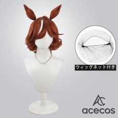 画像1: ウマ娘プリティーダービー　風　ハイセイコー　コスプレウィッグ　鬘　かつら (1)