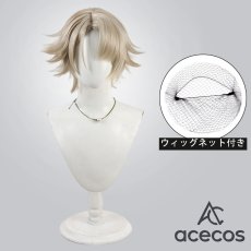 画像1: ドールズフロントライン2　風　ヴェクター　コスプレウィッグ　鬘　かつら (1)