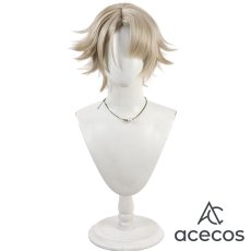 画像2: ドールズフロントライン2　風　ヴェクター　コスプレウィッグ　鬘　かつら (2)