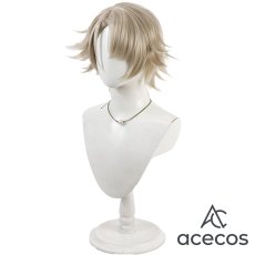 画像4: ドールズフロントライン2　風　ヴェクター　コスプレウィッグ　鬘　かつら (4)