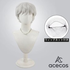 画像1: Fate/Grand Order　風　FGO　ジャック・ド・モレー（セイバー）　コスプレウィッグ　鬘　かつら (1)