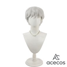 画像2: Fate/Grand Order　風　FGO　ジャック・ド・モレー（セイバー）　コスプレウィッグ　鬘　かつら (2)
