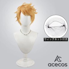 画像1: グランブルーファンタジー　風　グラン　コスプレウィッグ　鬘　かつら (1)
