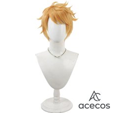 画像2: グランブルーファンタジー　風　グラン　コスプレウィッグ　鬘　かつら (2)
