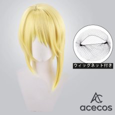 画像1: しゅごキャラ!　風　辺里唯世　コスプレウィッグ　鬘　かつら (1)