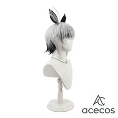 画像3: エルフさんは痩せられない。　風　頼加　コスプレウィッグ　鬘　かつら (3)