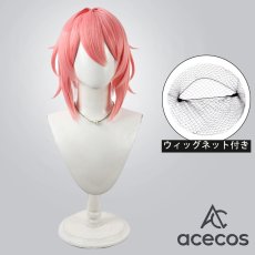 画像1: ストリノヴァ　風　フューシャ　コスプレウィッグ　鬘　かつら (1)