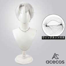 画像1: 魔法使いの約束　風　ヴィンセント　コスプレウィッグ　鬘　かつら (1)