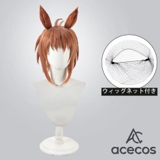 画像1: ウマ娘プリティーダービー　風　フビコーペガサス　コスプレウィッグ　鬘　かつら (1)