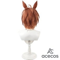 画像5: ウマ娘プリティーダービー　風　フビコーペガサス　コスプレウィッグ　鬘　かつら (5)
