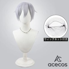 画像1: ツイステッドワンダーランド　風　シルバー（Silver）　マスカレードドレス　コスプレウィッグ　鬘　かつら (1)