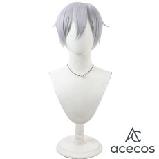 画像2: ツイステッドワンダーランド　風　シルバー（Silver）　マスカレードドレス　コスプレウィッグ　鬘　かつら (2)
