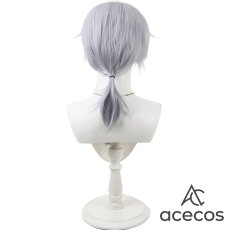 画像5: ツイステッドワンダーランド　風　シルバー（Silver）　マスカレードドレス　コスプレウィッグ　鬘　かつら (5)