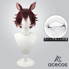 画像1: ツイステッドワンダーランド　風　ギデル　コスプレウィッグ　鬘　かつら (1)