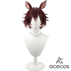 画像2: ツイステッドワンダーランド　風　ギデル　コスプレウィッグ　鬘　かつら (2)
