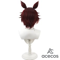 画像4: ツイステッドワンダーランド　風　ギデル　コスプレウィッグ　鬘　かつら (4)