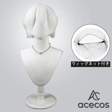 画像1: 不滅のあなたへ　風　フシ　コスプレウィッグ　鬘　かつら (1)