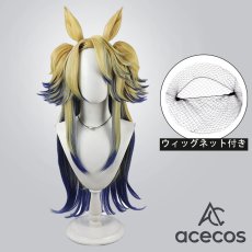 画像1: ウマ娘プリティーダービー　風　オベイユアマスター　コスプレウィッグ　鬘　かつら (1)