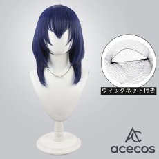 画像1: ワールドダイスター　風　静香　コスプレウィッグ　鬘　かつら (1)