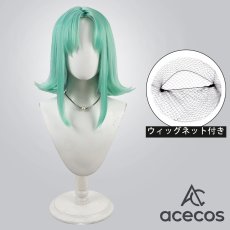 画像1: #コンパス 戦闘摂理解析システム　風　アミスター=バランディン　コスプレウィッグ　鬘　かつら (1)