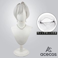 画像1: アークナイツ　風　レイディアン（Raidian）　コスプレウィッグ　鬘　かつら (1)