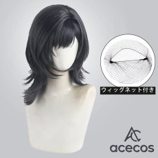 画像1: 千歳くんはラムネ瓶のなか　風　七瀬悠月　コスプレウィッグ　鬘　かつら (1)