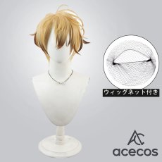 画像1: 刀剣乱舞　風　古備前信房　コスプレウィッグ　鬘　かつら (1)