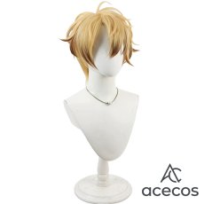 画像3: 刀剣乱舞　風　古備前信房　コスプレウィッグ　鬘　かつら (3)