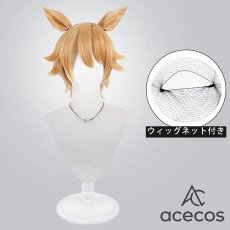 画像1: 桃源暗鬼　風　桃草蓬　コスプレウィッグ　鬘　かつら (1)