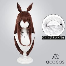 画像1: ウマ娘プリティーダービー　風　ジェンティルドンナ　La dama perfetta　コスプレウィッグ　鬘　かつら (1)