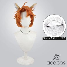 画像1: ツイステッドワンダーランド　風　チェカ　コスプレウィッグ　鬘　かつら (1)