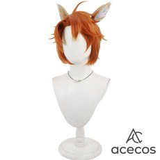 画像4: ツイステッドワンダーランド　風　チェカ　コスプレウィッグ　鬘　かつら (4)