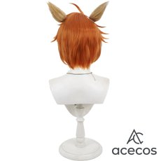 画像5: ツイステッドワンダーランド　風　チェカ　コスプレウィッグ　鬘　かつら (5)