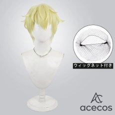 画像1: 多聞くん今どっち！？　風　石橋ナツキ　コスプレウィッグ　鬘　かつら (1)