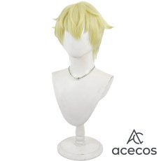 画像4: 多聞くん今どっち！？　風　石橋ナツキ　コスプレウィッグ　鬘　かつら (4)