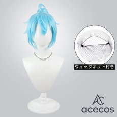 画像1: プリンセスコネクト!Re:Dive　風　シェフィ（ニューイヤー）　コスプレウィッグ　鬘　かつら (1)
