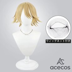 画像1: 桃源暗鬼　風　等々力颯　コスプレウィッグ　鬘　かつら (1)